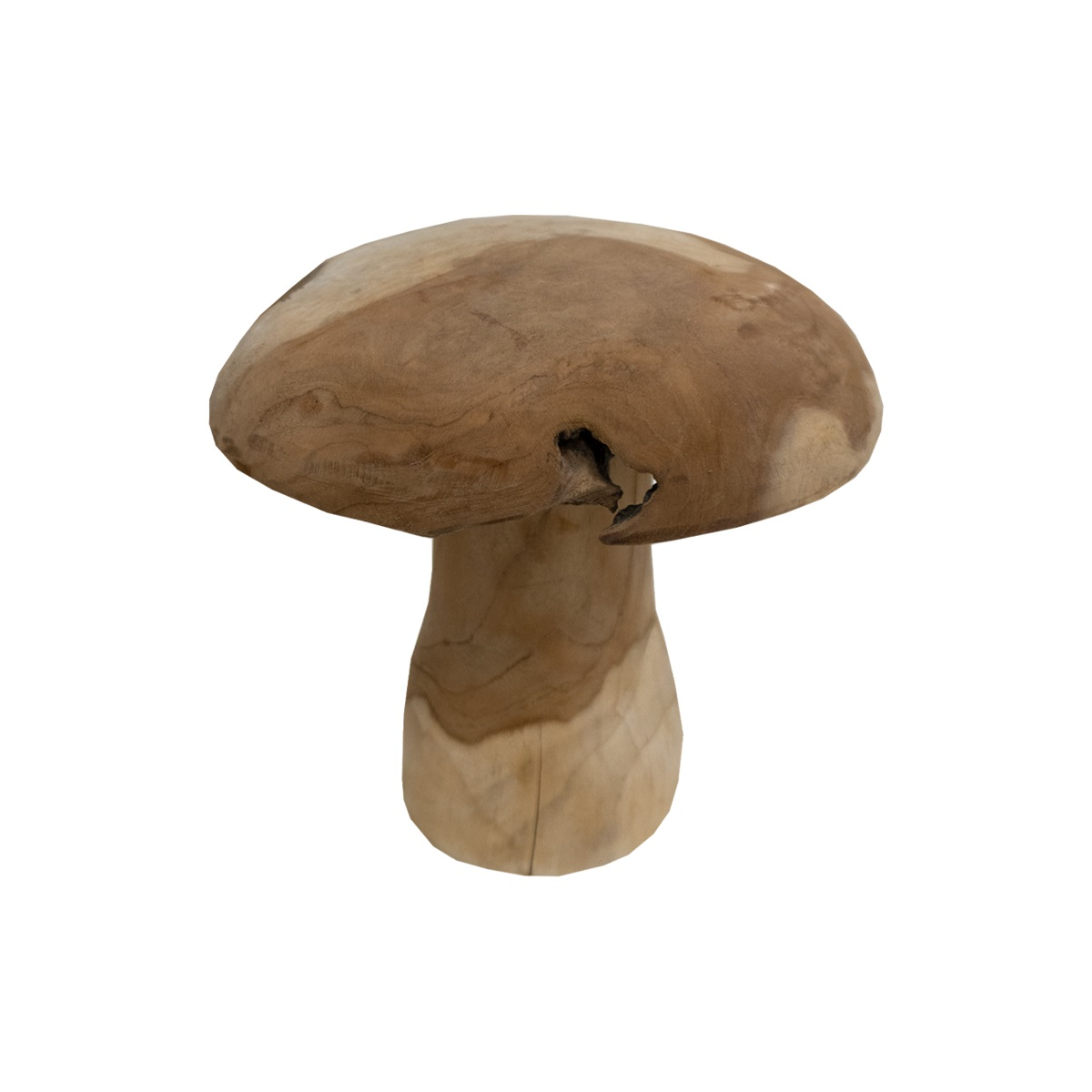 Jojo Living Pilz Jamur Teak 25cm