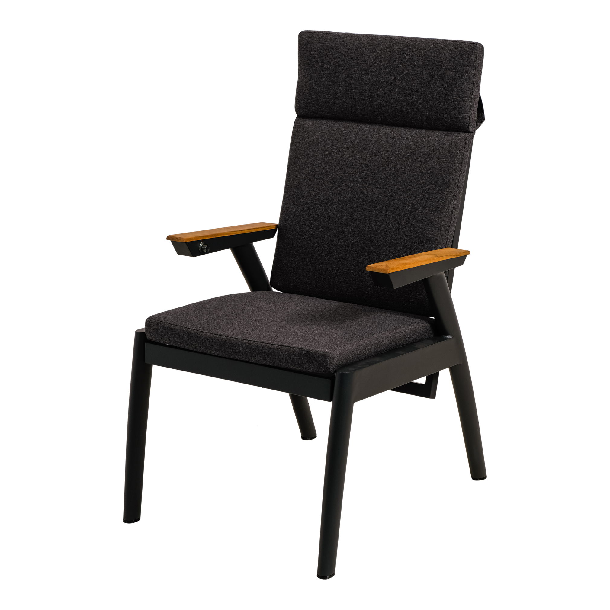 Lesli Living Chair Florence Alu